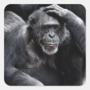 Zoek naar grappige chimpansee stickers Gorilla