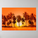 Zoek naar zonsondergang lucht posters Helder