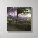 Zoek naar wind canvas prints Landschap