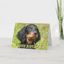 Zoek naar gordon setter kaarten Voor iedereen