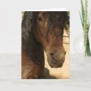 Zoek naar schoonheid kaarten Paard