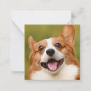 Zoek naar dog notitiekaarten Honden