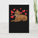 Zoek naar vizsla honden kaarten Hongaarse aanwijzer