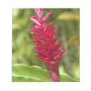 Zoek naar viti posters Eiland