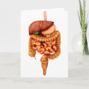 Zoek naar slokdarm posters Darmen