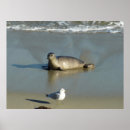 Zoek naar la californie posters Natuur
