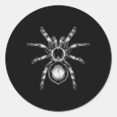 Zoek naar vampier kat stickers Gothic