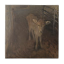 Zoek naar kalf tegels Boerderij