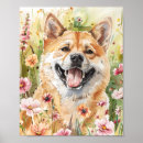 Zoek naar akita hond posters Voor huisdieren