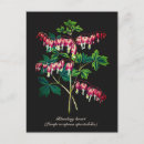 Zoek naar humeur verticale briefkaarten Floreel