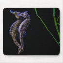 Zoek naar zeepaardje muismatten Oceaan