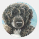 Zoek naar waterhond stickers Puppy