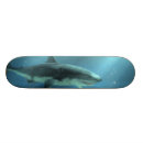 Zoek naar haai skateboards Zee