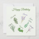 Zoek naar kruiden kaarten Elk persoon