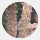 Zoek naar doornen stickers Plant