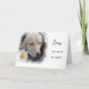 Zoek naar word beter kaarten Voor iedereen