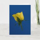 Zoek naar voor u nam toe kaarten Bloemen