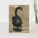 Zoek naar brids kaarten Natuur