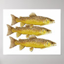 Zoek naar forel posters Zalm