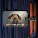 Zoek naar leuke honden accessoires Dier