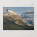 Zoek naar maligne lake briefkaarten Berg