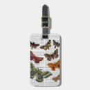 Zoek naar steampunk accessoires Vlinder