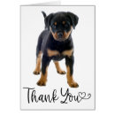 Zoek naar leuke rottweiler kaarten Puppy