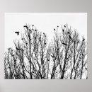 Zoek naar zwart wit foto posters Minimalistisch