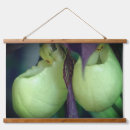 Zoek naar witte orchidee kunst Botanisch