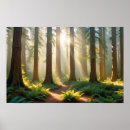 Zoek naar panoramische posters Landschap