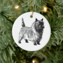 Zoek naar cairn terrier ornamenten Pup