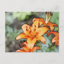Zoek naar leugenaar briefkaarten Oranje