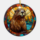 Zoek naar bever ornamenten Wild