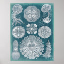 Zoek naar blueprint posters Blauwdrukken
