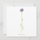 Zoek naar korenbloem blauw kaarten Floreel