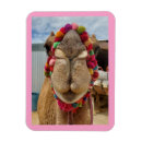 Zoek naar cuteness huis geschenken Elk persoon