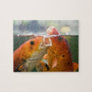 Zoek naar koi karper puzzels Water