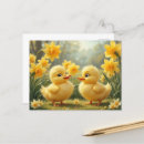 Zoek naar narcis briefkaarten Gele bloemen