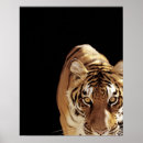 Zoek naar tijger hoofd kunst Zwart