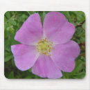 Zoek naar rosa muismatten Rozen