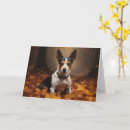 Zoek naar rat terrier kaarten Hond