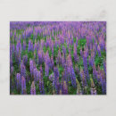 Zoek naar ie kaarten Charles gurche