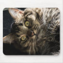 Zoek naar pluizig muismatten Schattig
