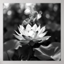 Zoek naar lotus kunst Natuur