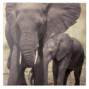 Zoek naar tanzania tegels Natuur