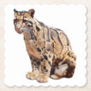 Zoek naar grote katten onderzetters Jungle