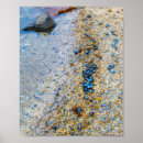 Zoek naar weekdier posters Oceaan