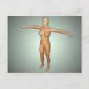 Zoek naar aders briefkaarten Anatomie