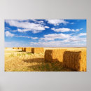 Zoek naar hooi balen posters Oogst