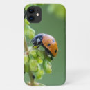 Zoek naar ladybug iphone hoesjes Rood